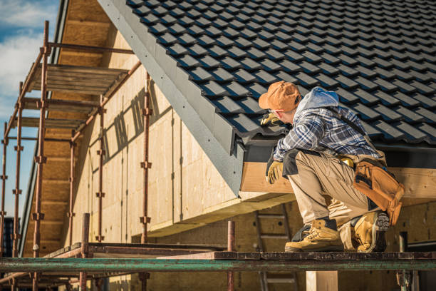 Best Metal Roofing Installation  in Franklin Park, FL