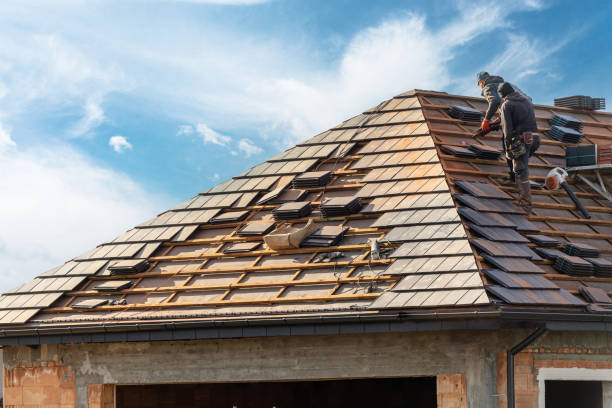 Best Roof Coating and Sealing  in Franklin Park, FL